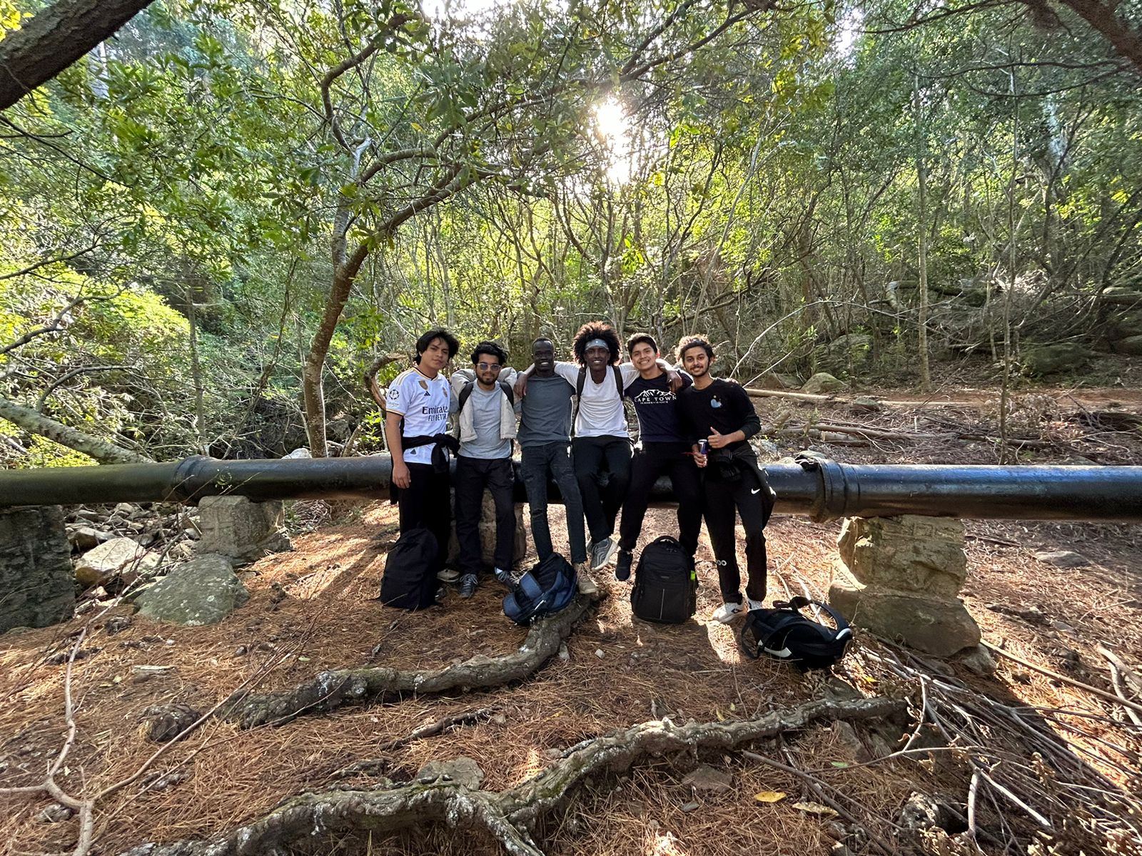 Take Action Lab Experience